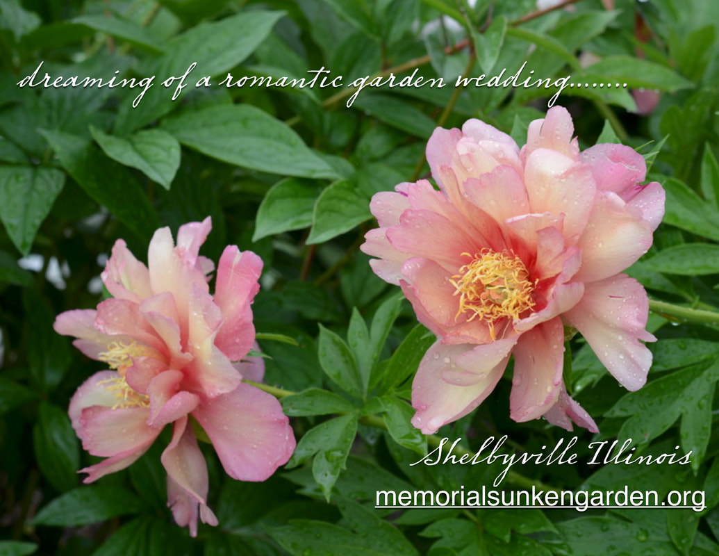 Welcome To The Shelbyville Memorial Sunken Garden Home Page